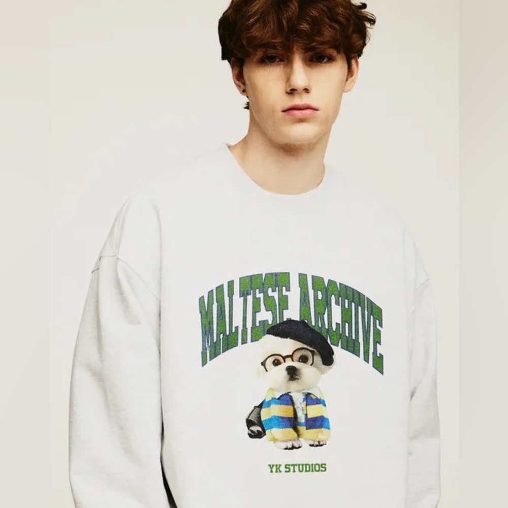 WAIKEI Sweatshirt in Grey